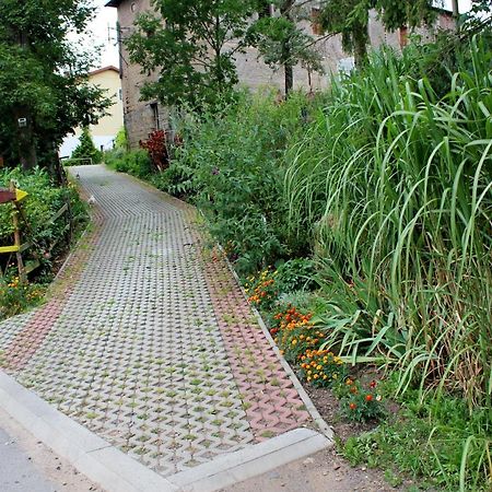 Zagroda Agroturystyczna Wiecha Mieroszow ภายนอก รูปภาพ