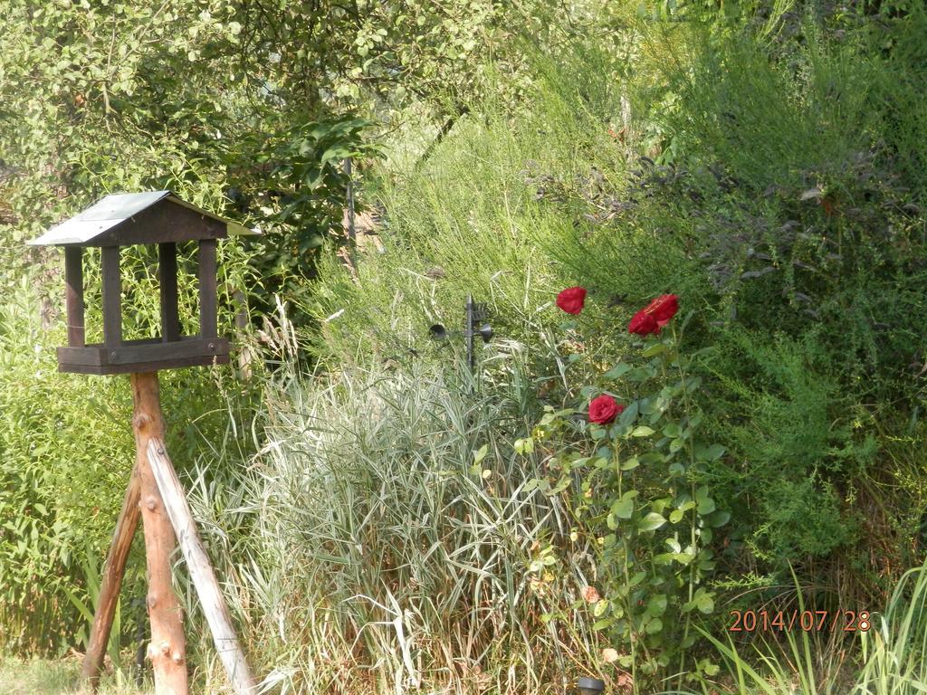 Zagroda Agroturystyczna Wiecha Mieroszow ภายนอก รูปภาพ