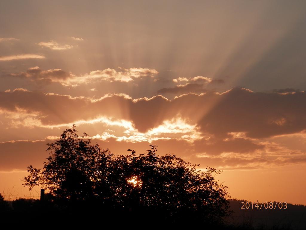 Zagroda Agroturystyczna Wiecha Mieroszow ภายนอก รูปภาพ