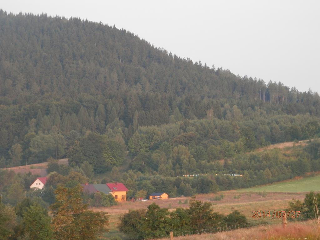 Zagroda Agroturystyczna Wiecha Mieroszow ภายนอก รูปภาพ